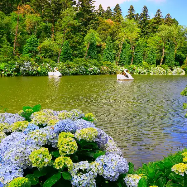 Passeio do Lago Negro em Gramado